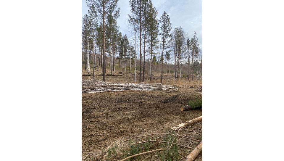 строительство поселка Соколики