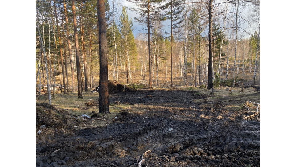 строительство поселка Соколики