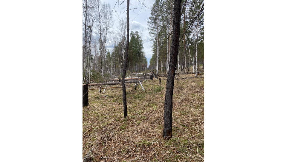 строительство поселка Соколики