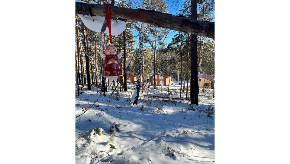 строительство поселка Соколики