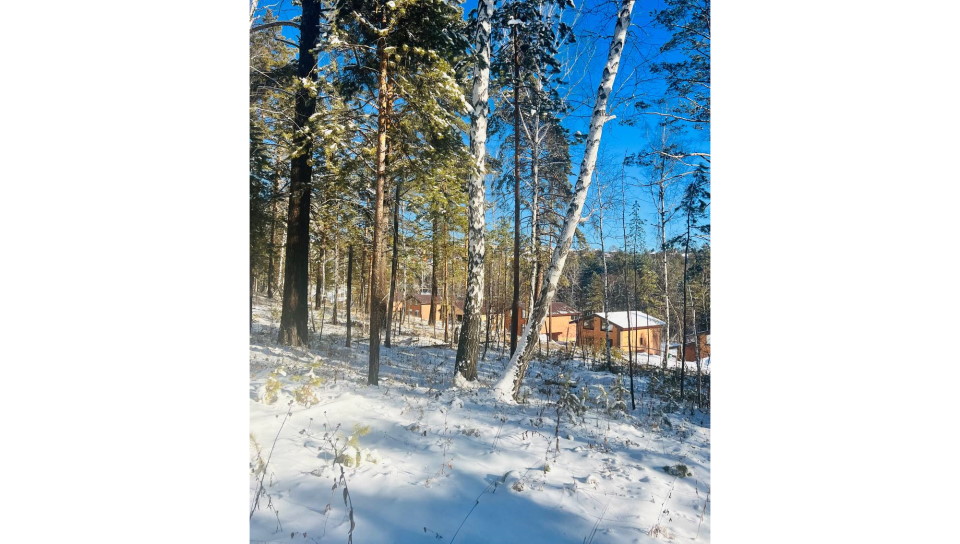 строительство поселка Соколики