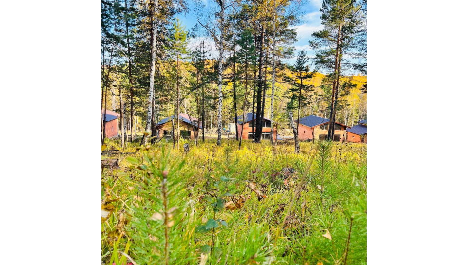 строительство поселка Соколики